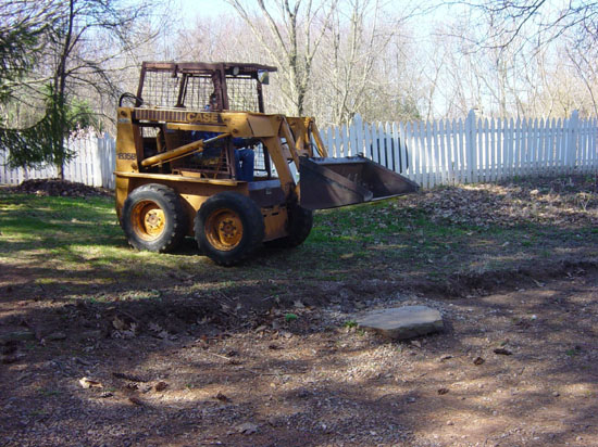 ob-04-20-the-bobcat-in-yard