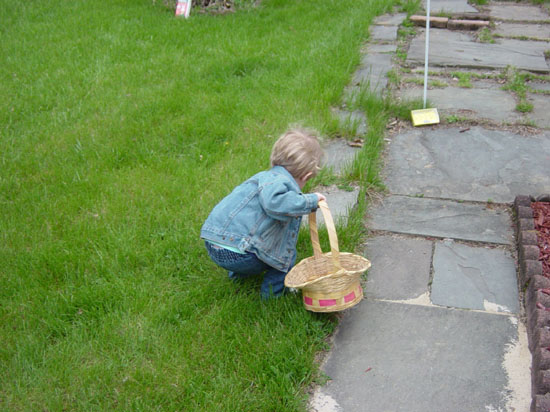 qc-04-24-picking-up-egg