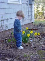 mb-04-16-garden-looking-down