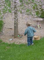 qd-04-25-egg-under-cherry-tree