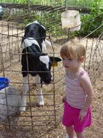 ih-07-25-mirin-calf