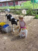 ik-07-25-mirin-calf-cat
