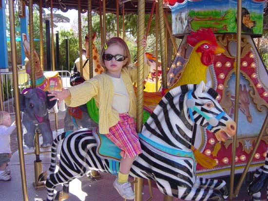 df-03-09-zebraback