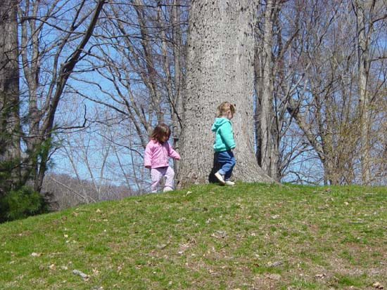 oh-04-11-tree-chase