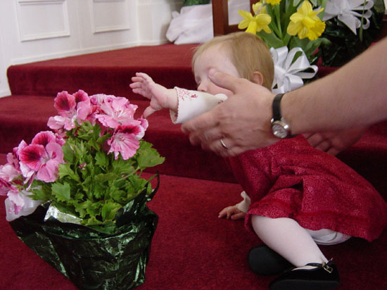 xb-04-20-flowers-don't-touch