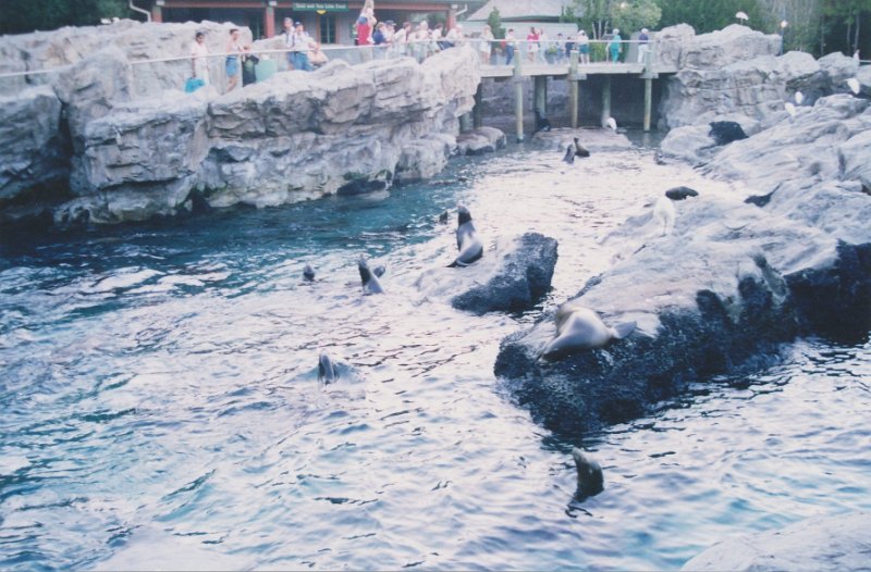016-Otters.jpg
